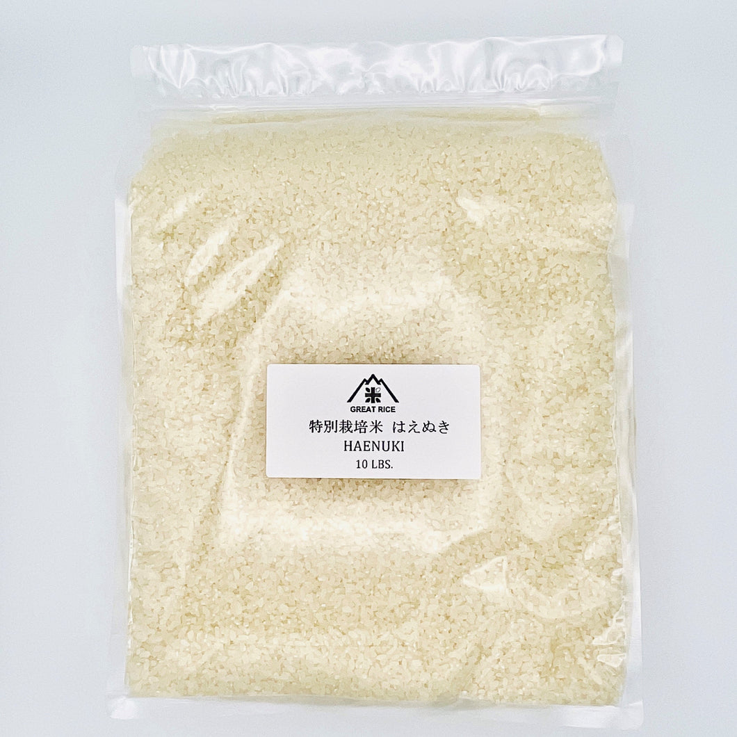 特別栽培米はえぬき 18LBS【定期便‐全12回】18LBS HAENUKI 【12-Month subscription】