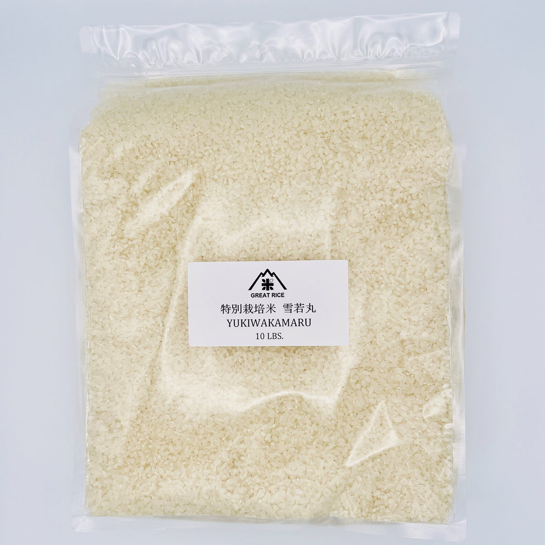 特別栽培米雪若丸 10LBS【定期便‐全12回】10LBS YUKIWAKAMARU【12-Month subscription】